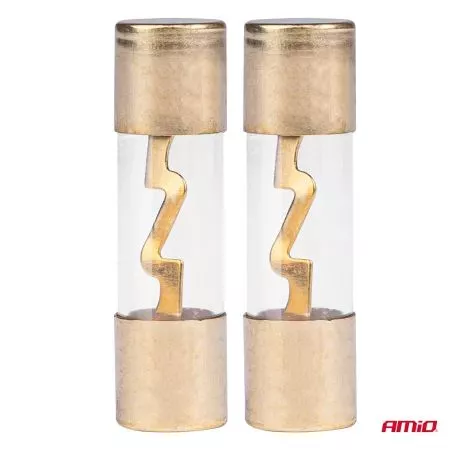 AMIO ΑΣΦΑΛΕΙΕΣ ΓΥΑΛΙΝΕΣ AGU 20A 38x10,3mm 2 ΑΜΙΟ - 2 ΤΕΜ. 03483/AM