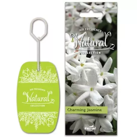 Σετ Αρωματικών Αυτοκινήτου Feral Natural Collection 6 Τεμάχια 