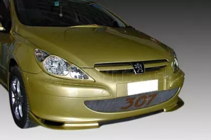 Μάσκα φαναριών για Peugeot 307