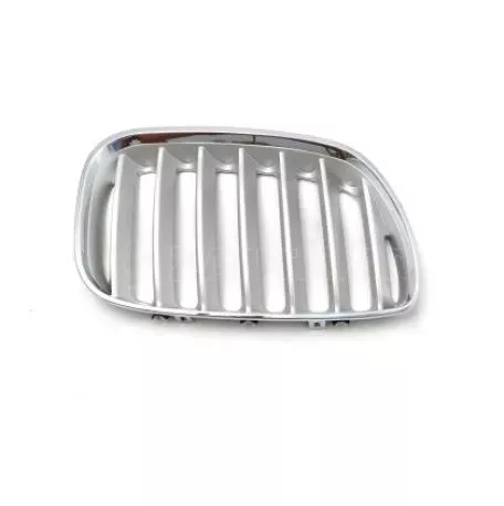 Μάσκα για BMW X5  E53 (2004-2007) - ασημένια - 2τμχ. 