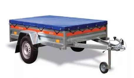 Temared Eco 2012 2022 