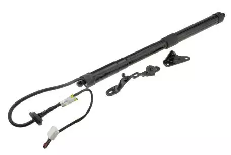 NTY ΑΜΟΡΤΙΣΕΡ ΠΟΡΤ ΜΠΑΓΚΑΖ ΓΙΑ TOYOTA RAV4 IV 2012-2018 ΗΛΕΚΤΡΙΚΟ ΑΡΙΣΤΕΡΟ 300mm/710N orig.6892009010 NTY - 1 τεμ. AE-TY-033/AJ 