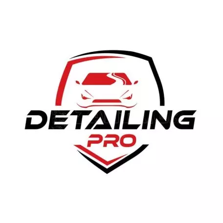Βούρτσα - Πινέλο Detailing Pro Feral 22.7cm 1 Τεμάχιο 25537 