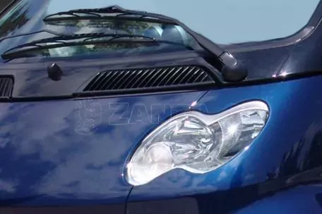 Φρυδάκια Smart 450 (2001-2007) 