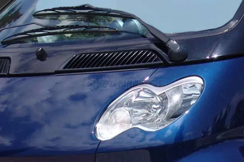Φρυδάκια Smart 450 (2001-2007)