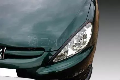 Φρυδάκια Peugeot 307 