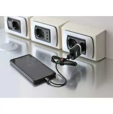 Lampa ΦΟΡΤΙΣΤΗΣ ΑΝΑΠΤΗΡΑ 12/24V 3 ΣΕ 1 ΜΕ ΠΡΙΖΑ 230V + 1 MICRO USB 2400mA ΜΕ ΚΑΛΩΔΙΟ 100cm SILVER LINE LAMPA - 1 TEM. L3887.7/T 