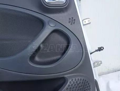 Πόρτα πίσω αριστερή οδηγού από Smart forfour Basis 2017 - 00000 