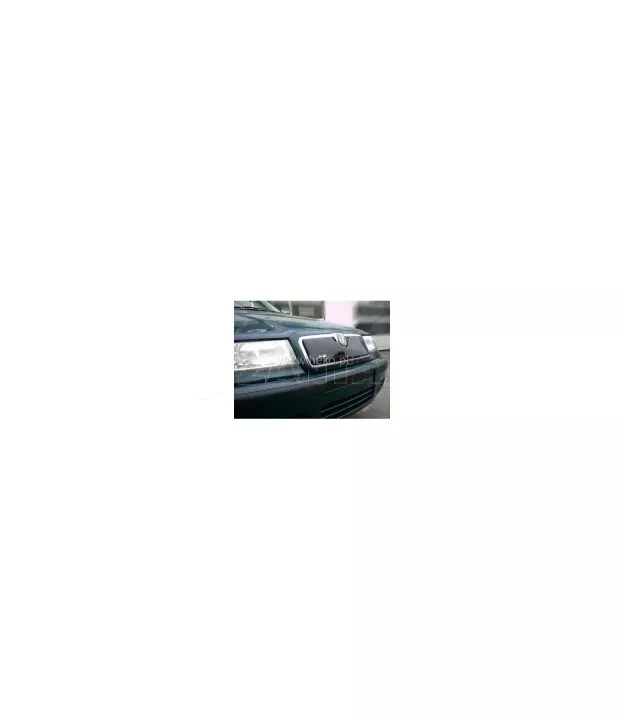 Χειμερινός ανεμοθραύστης για SKODA Felicia (1998+)