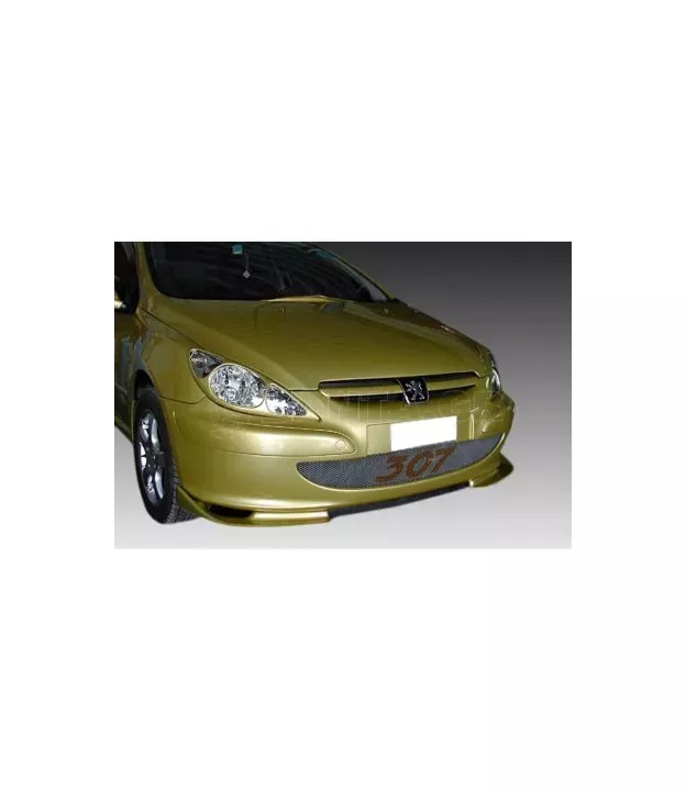 Μάσκα φαναριών για Peugeot 307