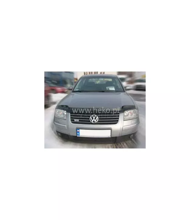 Ανεμοθραύστης καπό εμπρός για Vw Passat B5.5 (2001-2004) 1 τμχ.