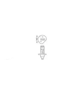 H1 ΑΛΟΓΟΝΟΥ 12V/55W 62.5mm P14,5s ΛΑΜΠΑ 