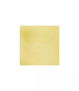 ΠΑΝΙ ΓΙΑ ΓΥΑΛΙΣΜΑ/ΣΚΟΥΠΙΣΜΑ ΜΕ ΜΙΚΡΟΙΝΕΣ (MICROFIBRE) ΜΕ ΥΦΗ ΔΕΡΜΑΤΟΣ CHAMOIS 40x40cm 