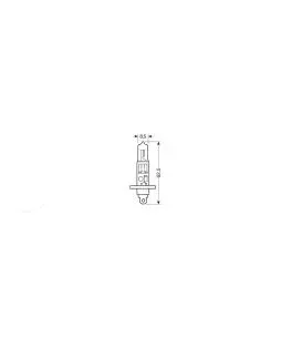H1 12V 55W P14,5s 