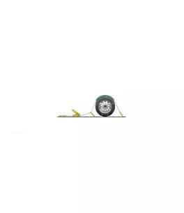 ΙΜΑΝΤΑΣ ΔΕΣΙΜΑΤΟΣ ΜΕ ΚΑΣΤΑΝΙΑ 50mmX250cm max5.000kg 1ΤΕΜ. 