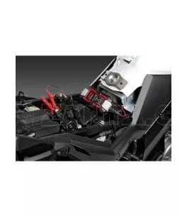ΦΟΡΤΙΣΤΗΣ/ΣΥΝΤΗΡΗΤΗΣ ΜΠΑΤΑΡΙΑΣ AMPEROMATIC BIKE 6/12V 1A 220Ah GEL/STD/SMF/AGM/EFB/LiFePo4 LAMPA - 1 ΤΕΜ 