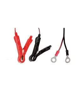 ΦΟΡΤΙΣΤΗΣ/ΣΥΝΤΗΡΗΤΗΣ ΜΠΑΤΑΡΙΑΣ AMPEROMATIC BIKE 6/12V 1A 220Ah GEL/STD/SMF/AGM/EFB/LiFePo4 LAMPA - 1 ΤΕΜ 