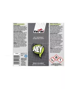 Αρωματικό Αυτοκινήτου Spray Feral Speech Collection HEY 70ml 
