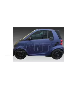 Πλαϊνό Σκουπάκι Smart Fortwo 451 