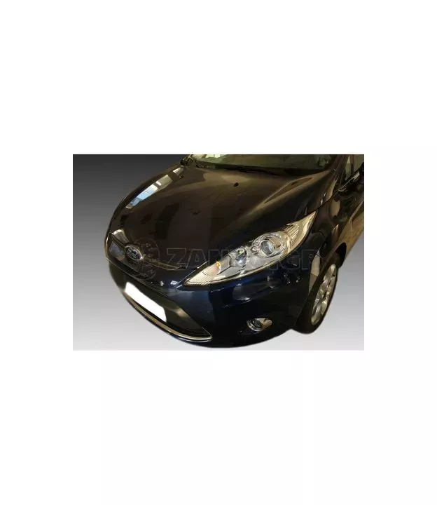 Φρυδάκια Ford Fiesta Mk7 (2008-2013)
