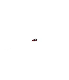 ΦΑΝΑΡΙΑ ΓΙΑ PEUGEOT 307  ΠΙΣΩ 