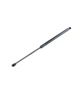 ΑΜΟΡΤΙΣΕΡ ΠΟΡΤ ΜΠΑΓΚΑΖ ΓΙΑ MERCEDES B KLAS W245 2005-2011 547mm/460N orig.1699800764 