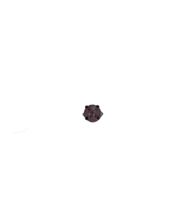 Καπάκι ντιστριμπιτέρ / διανομέα Fiat 124, 125 