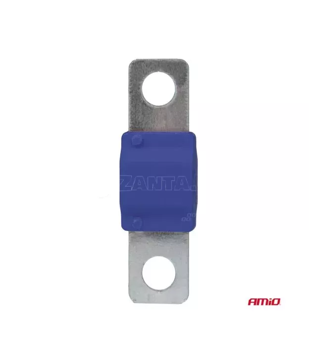 ΑΣΦΑΛΕΙΕΣ MIDIVAL 100A AMIO - 2 Τεμ.