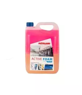 Ενεργός αφρός καθαρισμού Two-component active foam 5L 