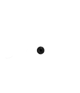 Γρανάζι αντλίας λαδιού Fiat 124, 128 LADA 4310029 