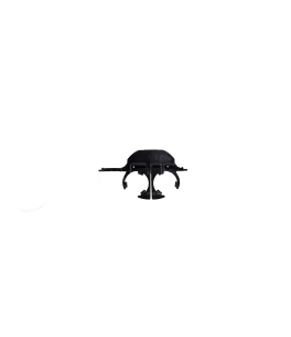 Ποτηροθήκη BMW E39 μπροστινή 