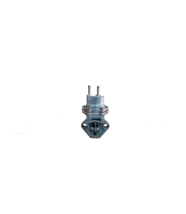 Αντλία βενζίνης Fiat Panda 30 650cc 2167/1 BCD 