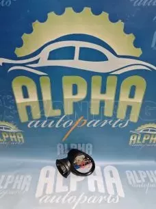ΚΑΘΡΕΦΤΗΣ ΔΕΞ. ΜΕ 3 PIN- MINI COUNTRYMAN – F60 – ’16 – ’20. 
