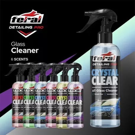 Καθαριστικό Τζαμιών Tropical Forest Feral Detailing Pro 750ml 1 Τεμάχιο 
