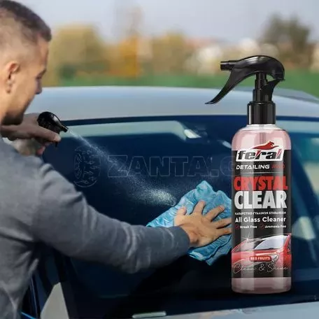 Καθαριστικό Τζαμιών Red Fruits Feral Detailing Pro 750ml 1 Τεμάχιο 