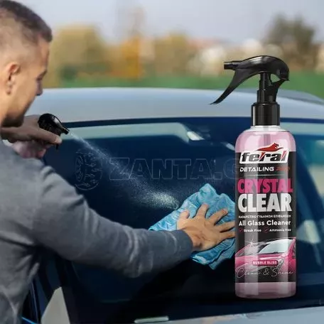 Καθαριστικό Τζαμιών Bubble Bliss Feral Detailing Pro 750ml 1 Τεμάχιο 