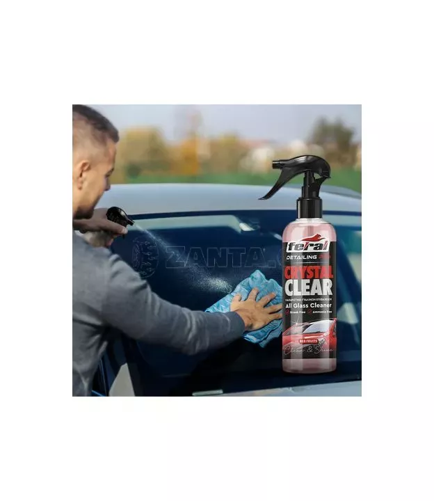 Καθαριστικό Τζαμιών Red Fruits Feral Detailing Pro 750ml 1 Τεμάχιο