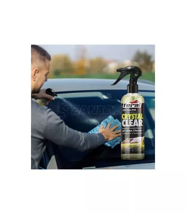 Καθαριστικό Τζαμιών Citrus Spark Feral Detailing Pro 750ml 1 Τεμάχιο