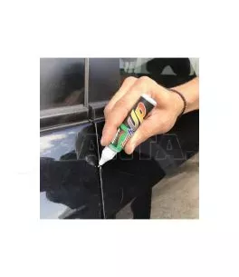 Πινελάκι & Στυλό Επιδιόρθωσης Χρώματος Αυτοκινήτου Touch Up Paint Γκρι- Τιτανίου Guard 12ml WH-321 
