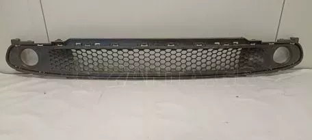 Δίχτυ Προφυλακτήρα Εμπρός από SMART FORFOUR - A4538880423 