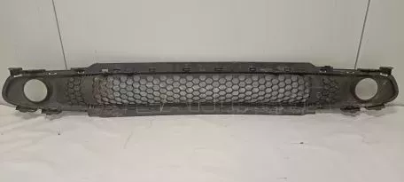 Δίχτυ Προφυλακτήρα Εμπρός από SMART FORFOUR - A4538880423 