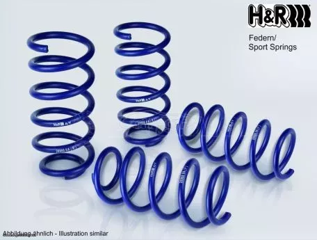 Ελατήρια Χαμηλώματος H&R Seat/VW Golf VII/Seat Leon X-Perience (28843-10) ***ΛΑΔΑΣ ΑΜΟΡΤΙΣΕΡ***