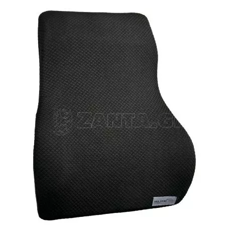 Lampa ΜΑΞΙΛΑΡΙ ΠΛΑΤΗΣ ΚΑΘΙΣΜΑΤΟΣ PRO-SPINE 37x43x12cm 1ΤΕΜ. L5441.3 