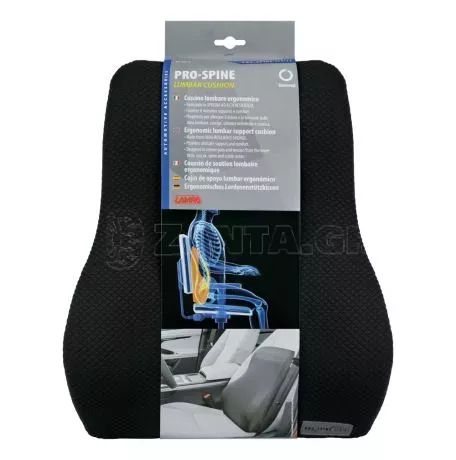 Lampa ΜΑΞΙΛΑΡΙ ΠΛΑΤΗΣ ΚΑΘΙΣΜΑΤΟΣ PRO-SPINE 37x43x12cm 1ΤΕΜ. L5441.3 